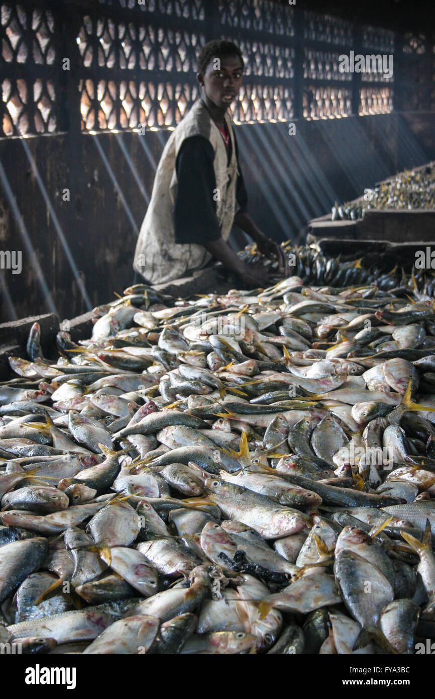 Tanjih fish market, the biggest African fish market, Gambia, Africa