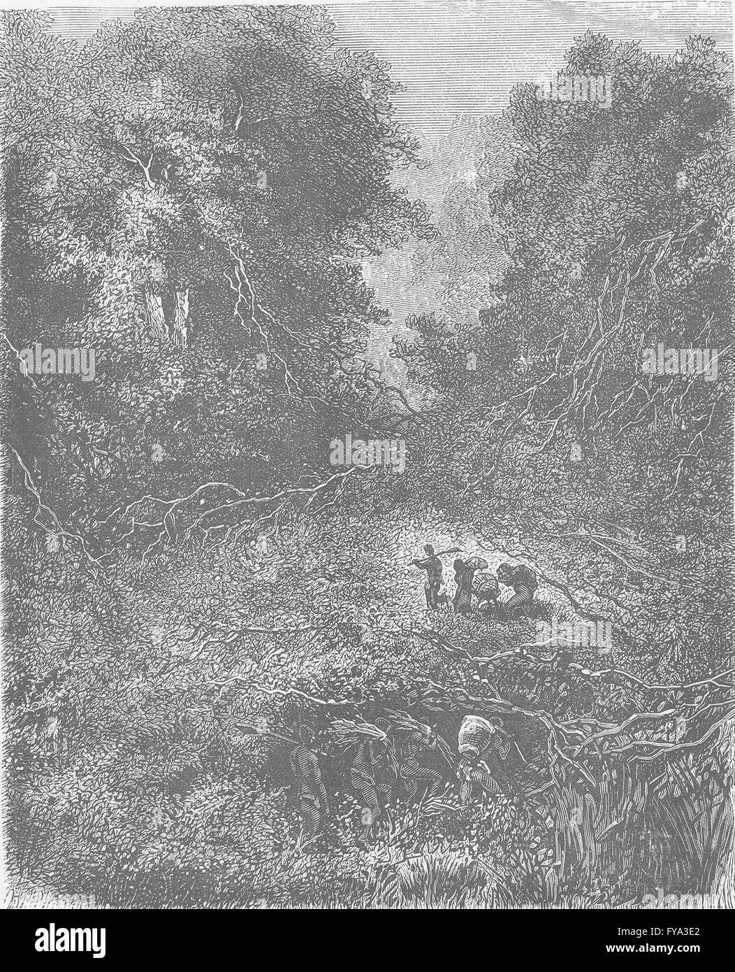 GABON: Bush at Ovamba, on the River Ogooue, antique print 1891 Stock Photo