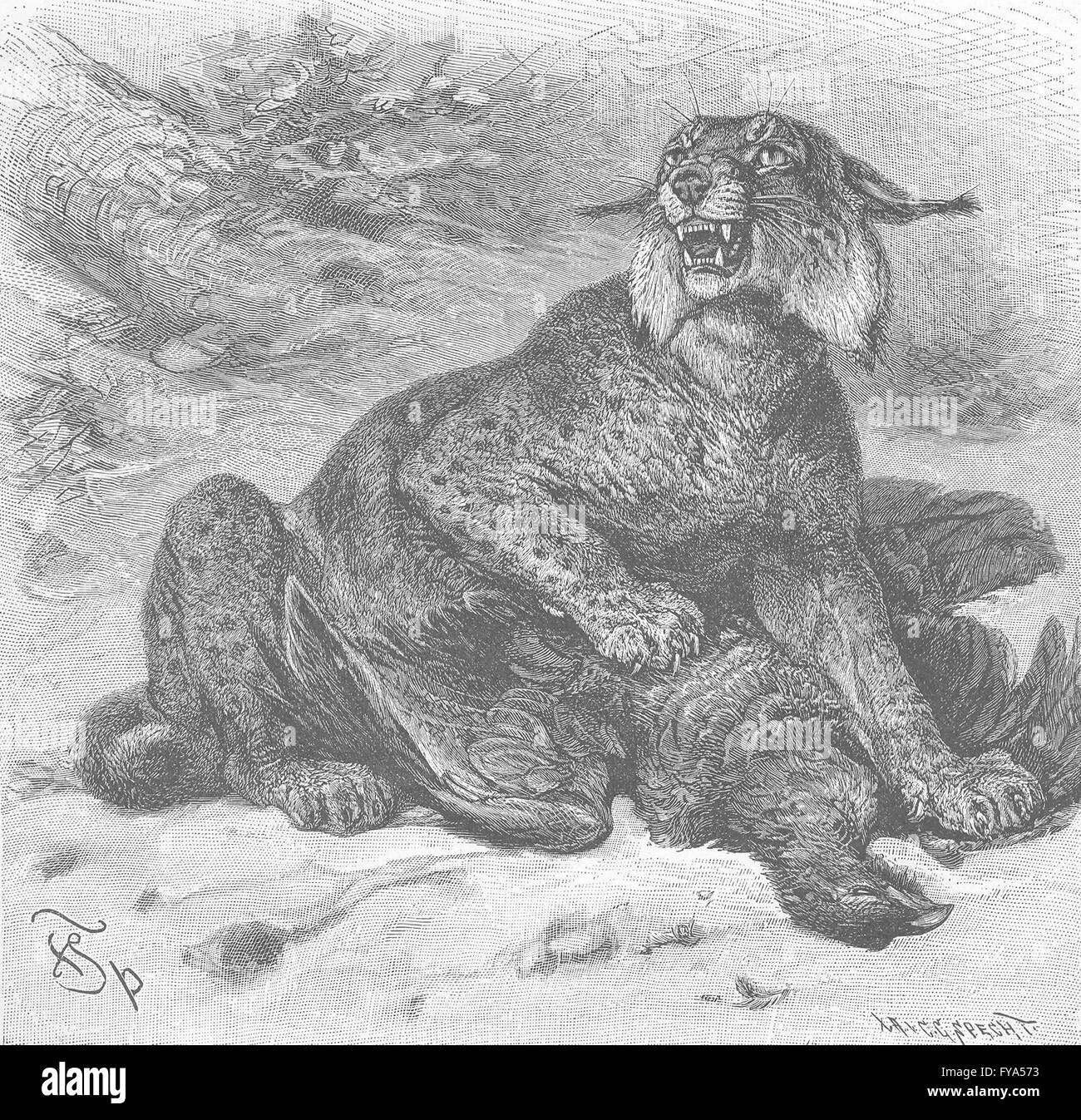 European order Black and White Stock Photos Images Alamy