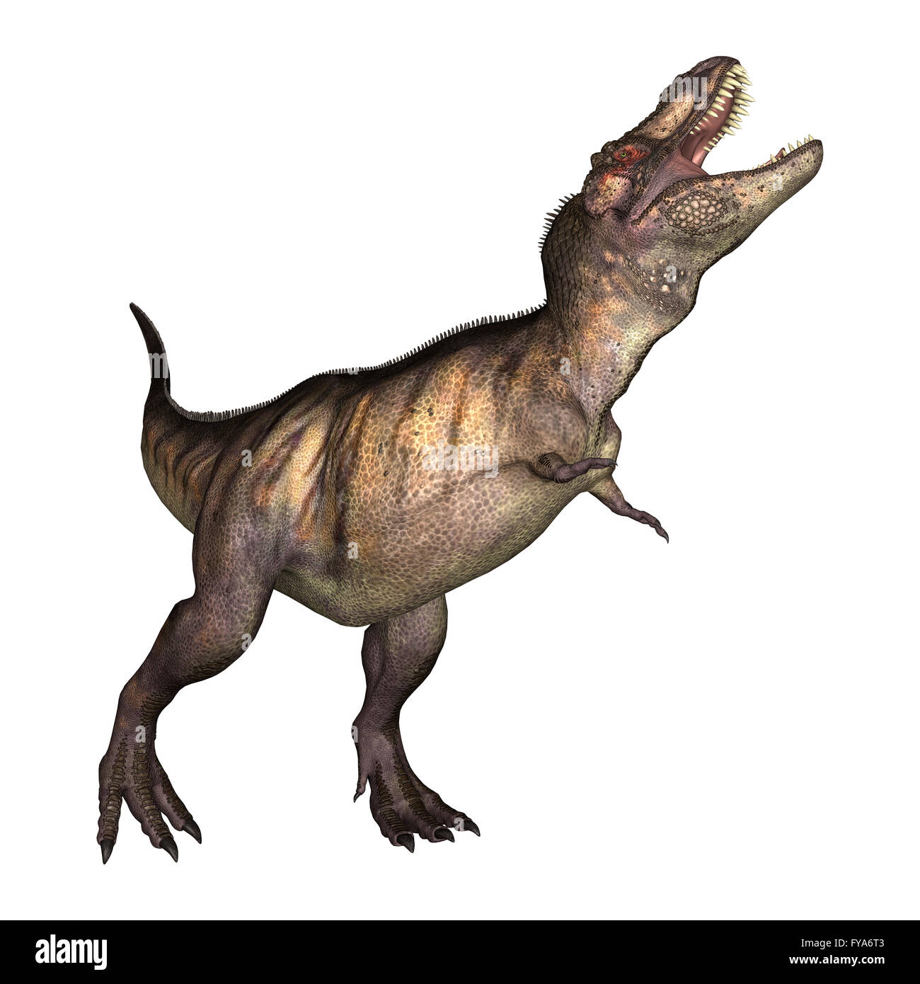 3D Illustration of a tyrannosaurus isolated on white background Stock Photo