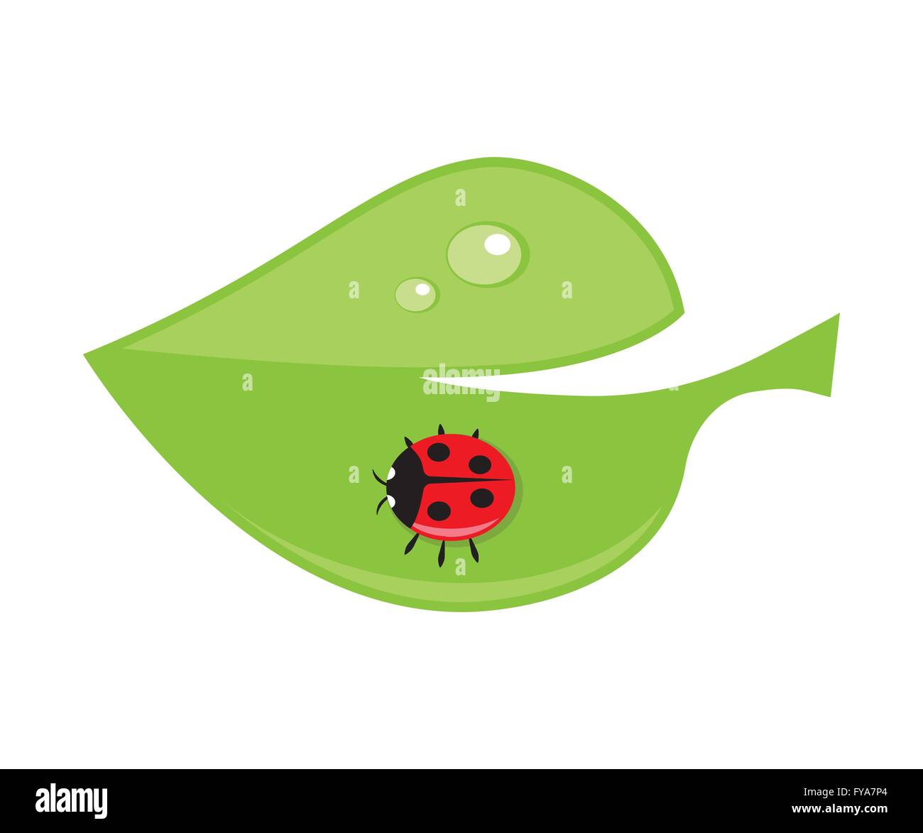 Green leaf with drops of dew and ladybird. Vector illustration. EPS 10. No transparency. No gradients. Raw materials are easy to Stock Vector