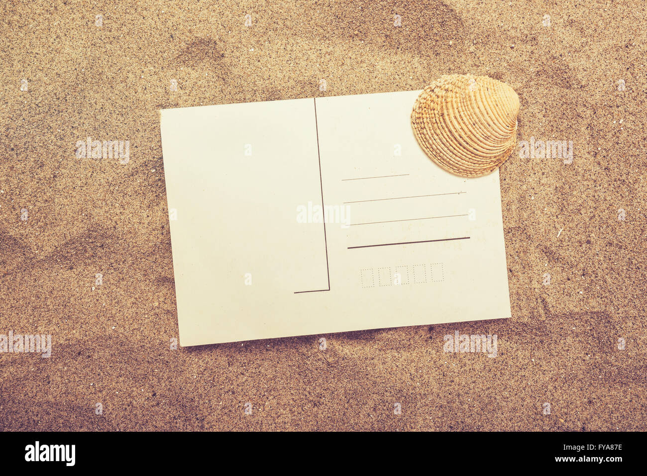 Blank postcard and sea shell in hot beach sand, top view of copy space for summer holiday vacation message in a letter, retro to Stock Photo