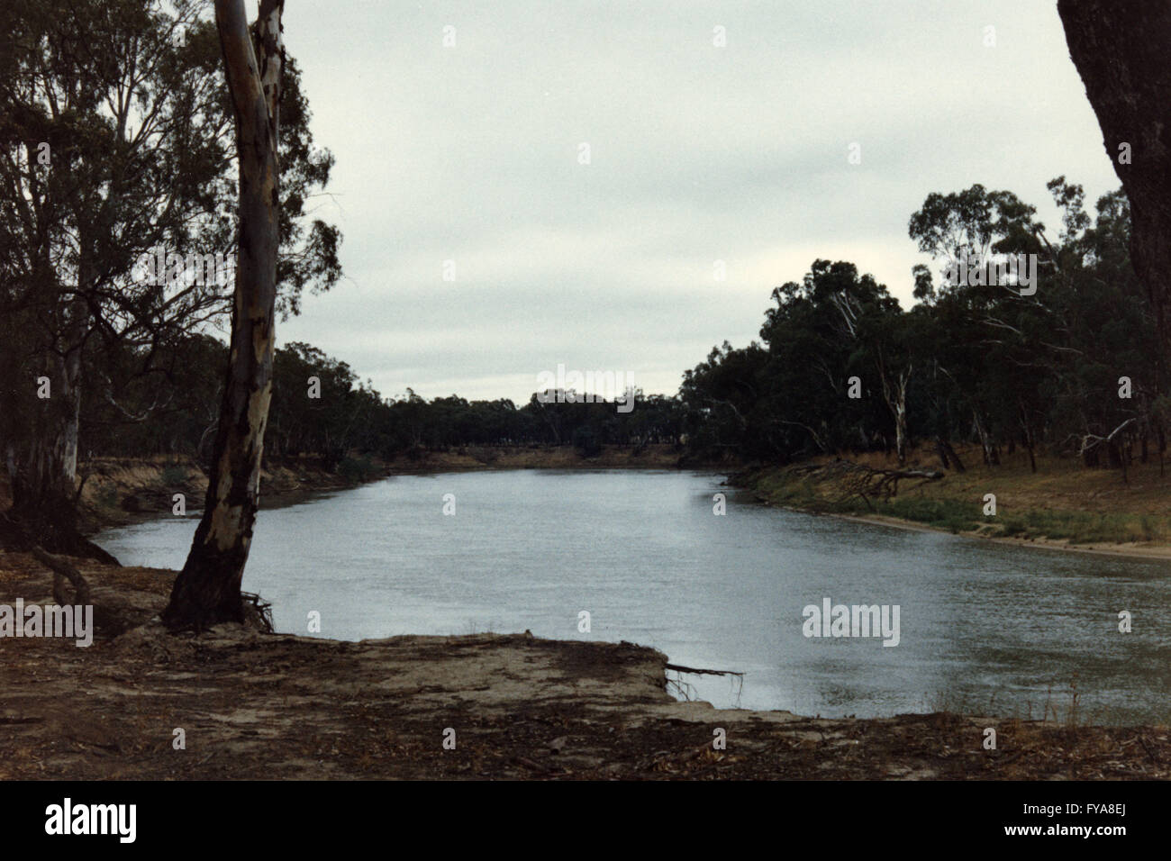 Murray River, State Border between Victoria & NSW, South Eastern Australia. This imageEchuca