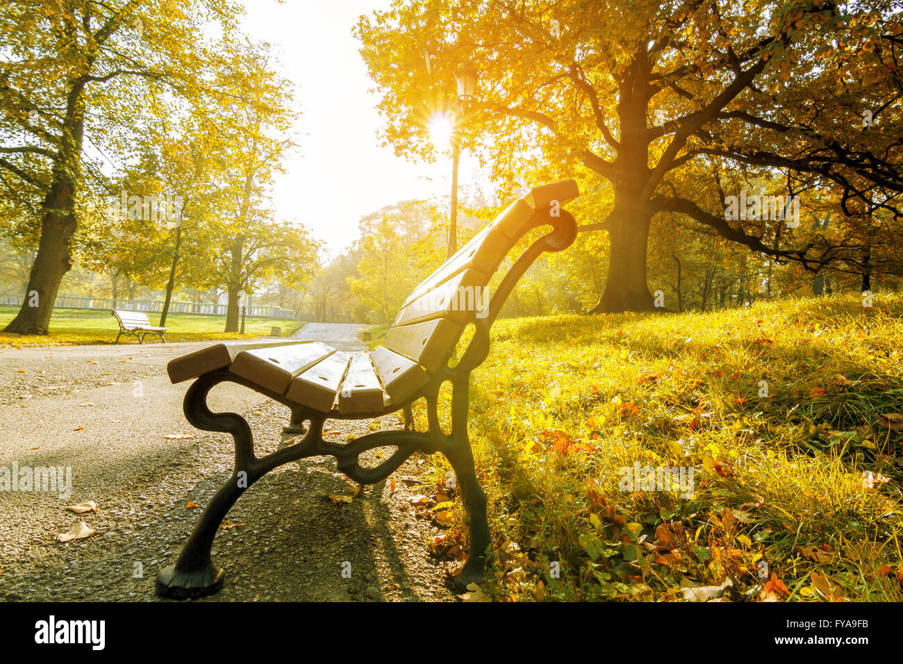 beautiful park bench in autumn in november Stock Photo - Alamy