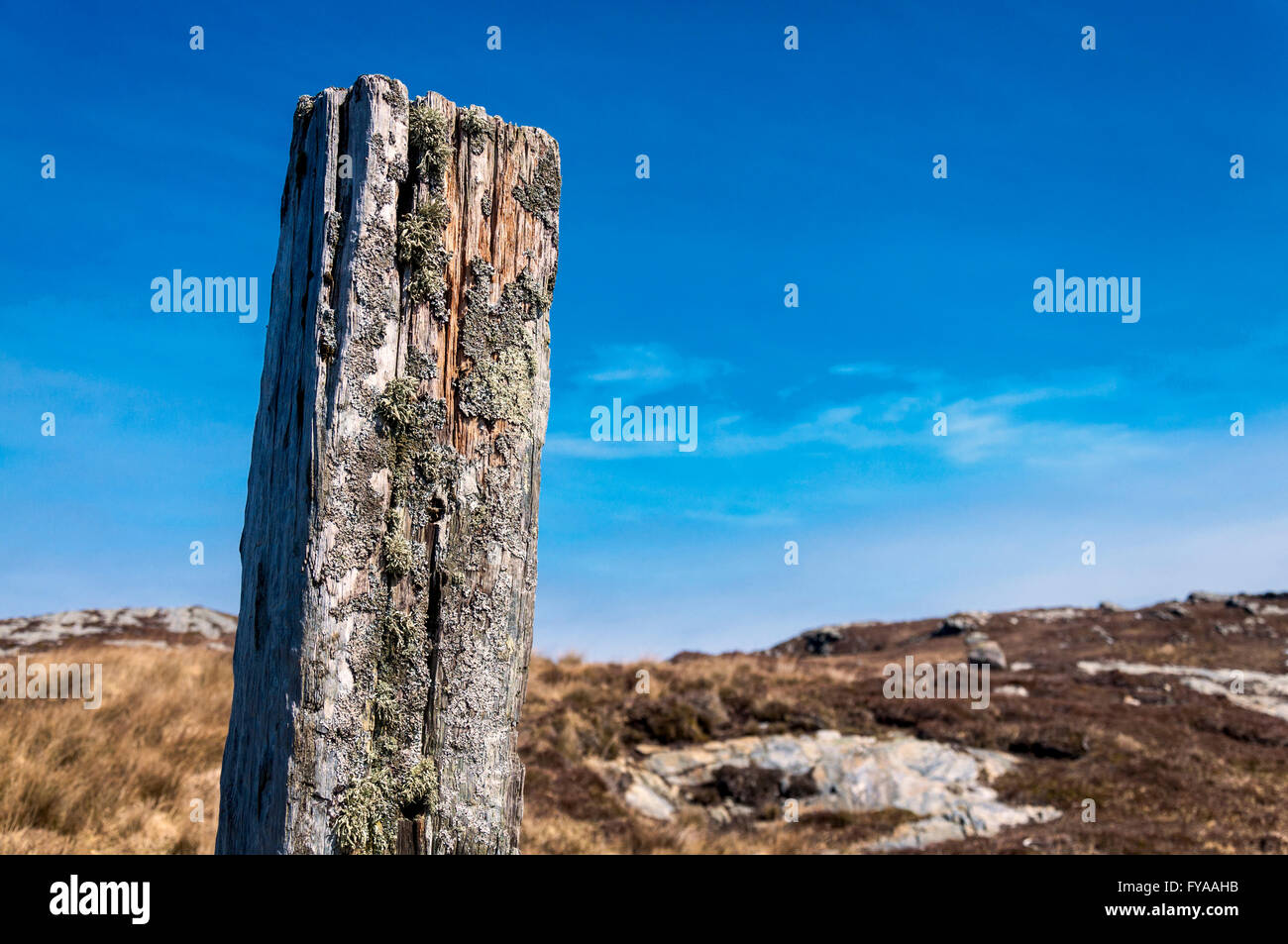 Decaying wooden fencepost texture Stock Photo - Alamy