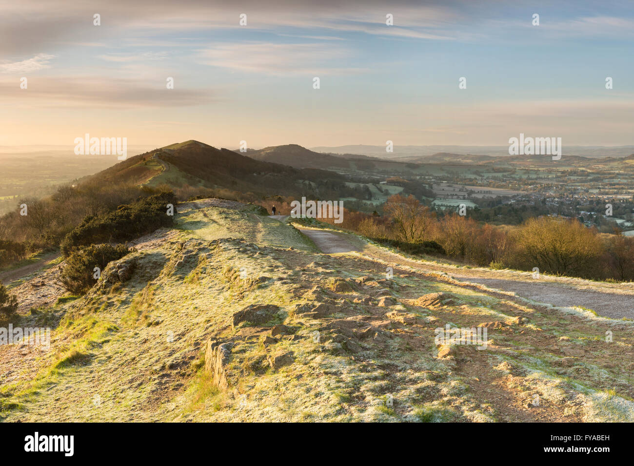 A walker walks their dogs along the footpath to the Beacon at Summer Hill, Malvern Hills, on a Frosty Winter Morning. Stock Photo