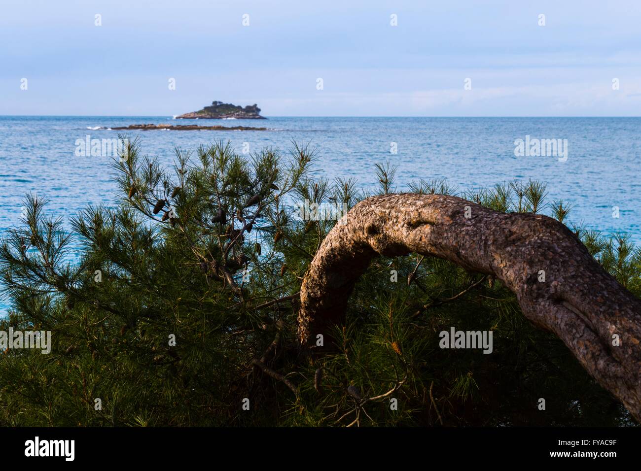 Mediterranean seascape landscape scenic evergreen pine tree curved small island sea horizontal Stock Photo