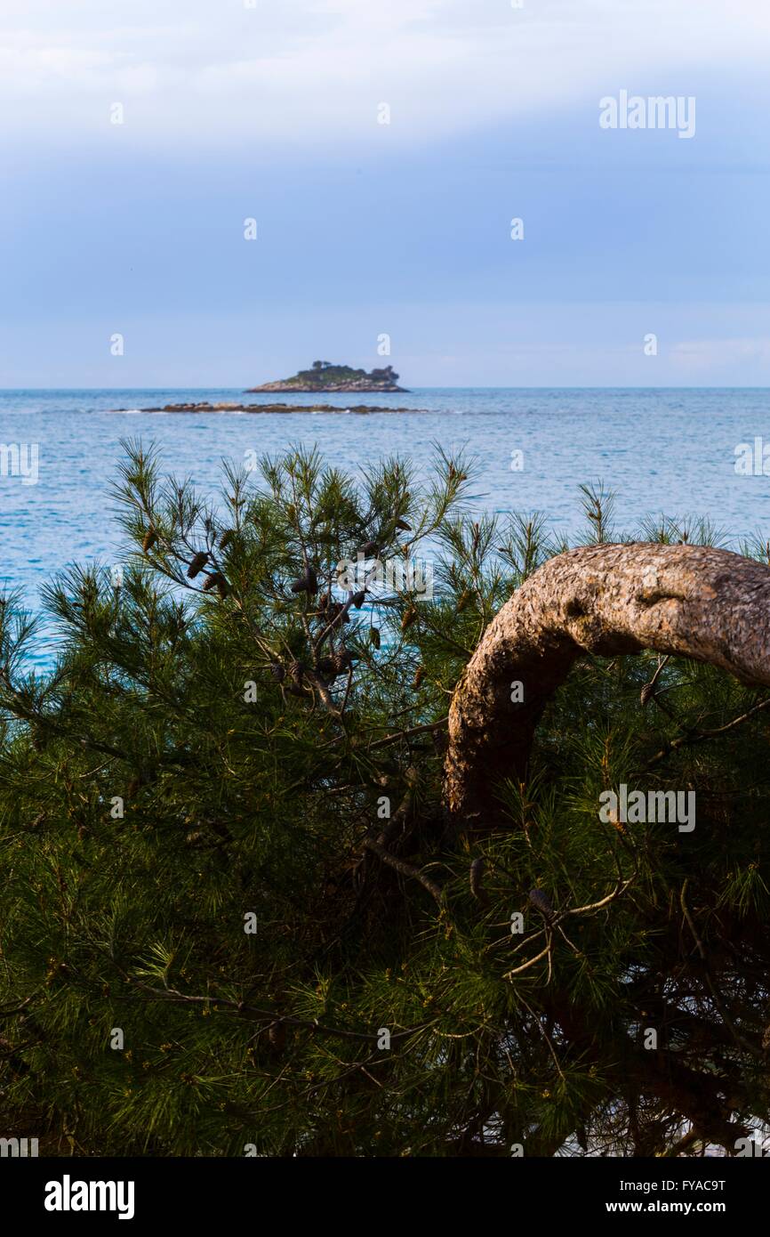 Mediterranean seascape landscape scenic evergreen pine tree curved small island sea empty free copy space Stock Photo