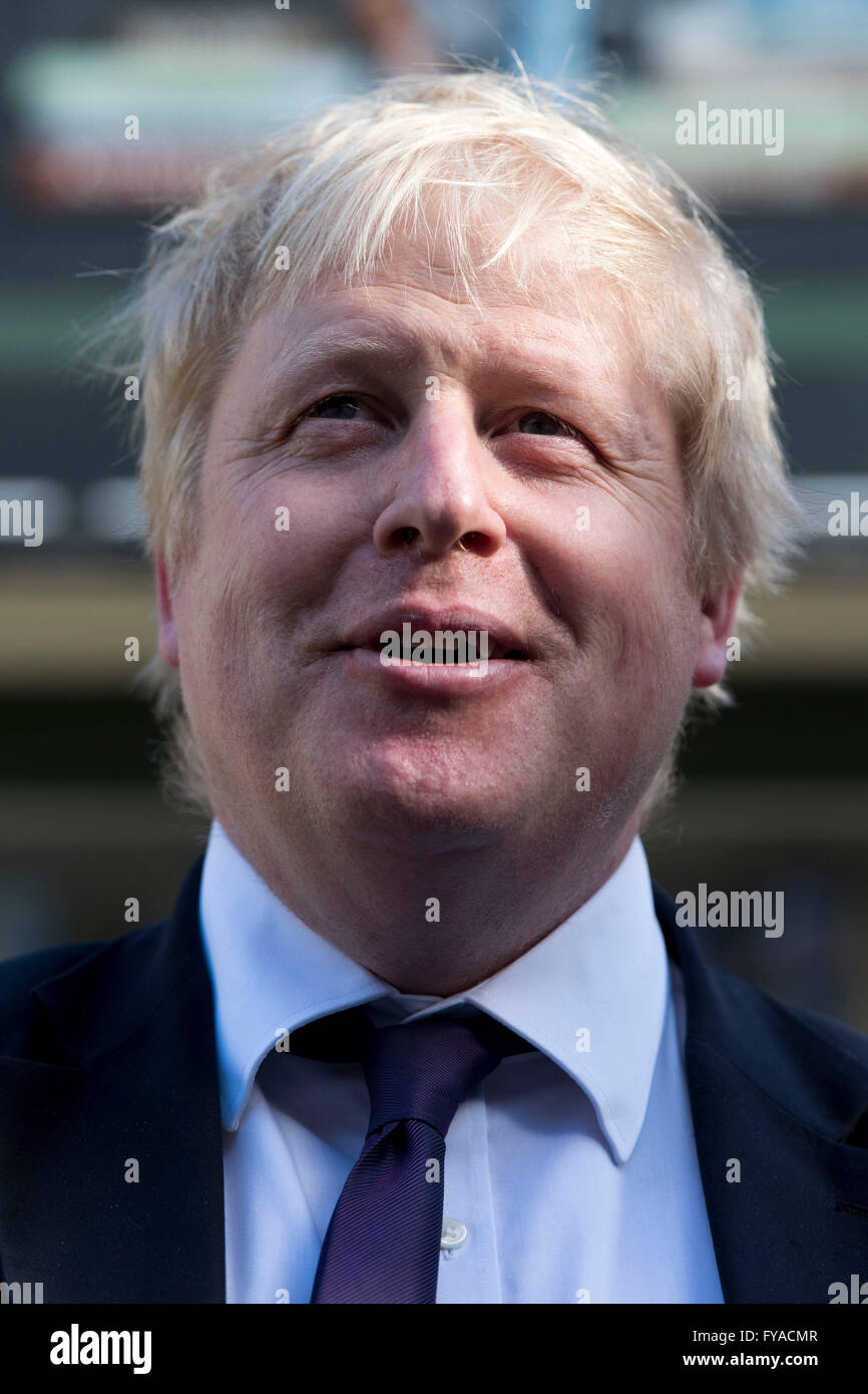 Boris Johnson Conservative MP and former mayor of London. Stock Photo