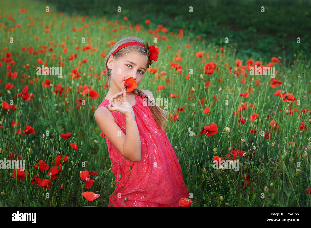 beautiful girl in red dress walks at poppy field Stock Photo - Alamy
