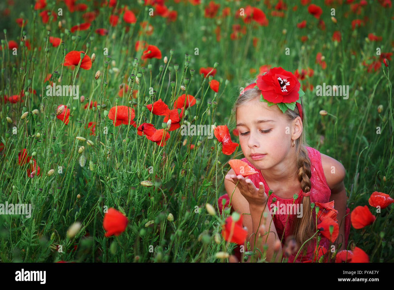 beautiful girl in red dress walks at poppy field Stock Photo - Alamy