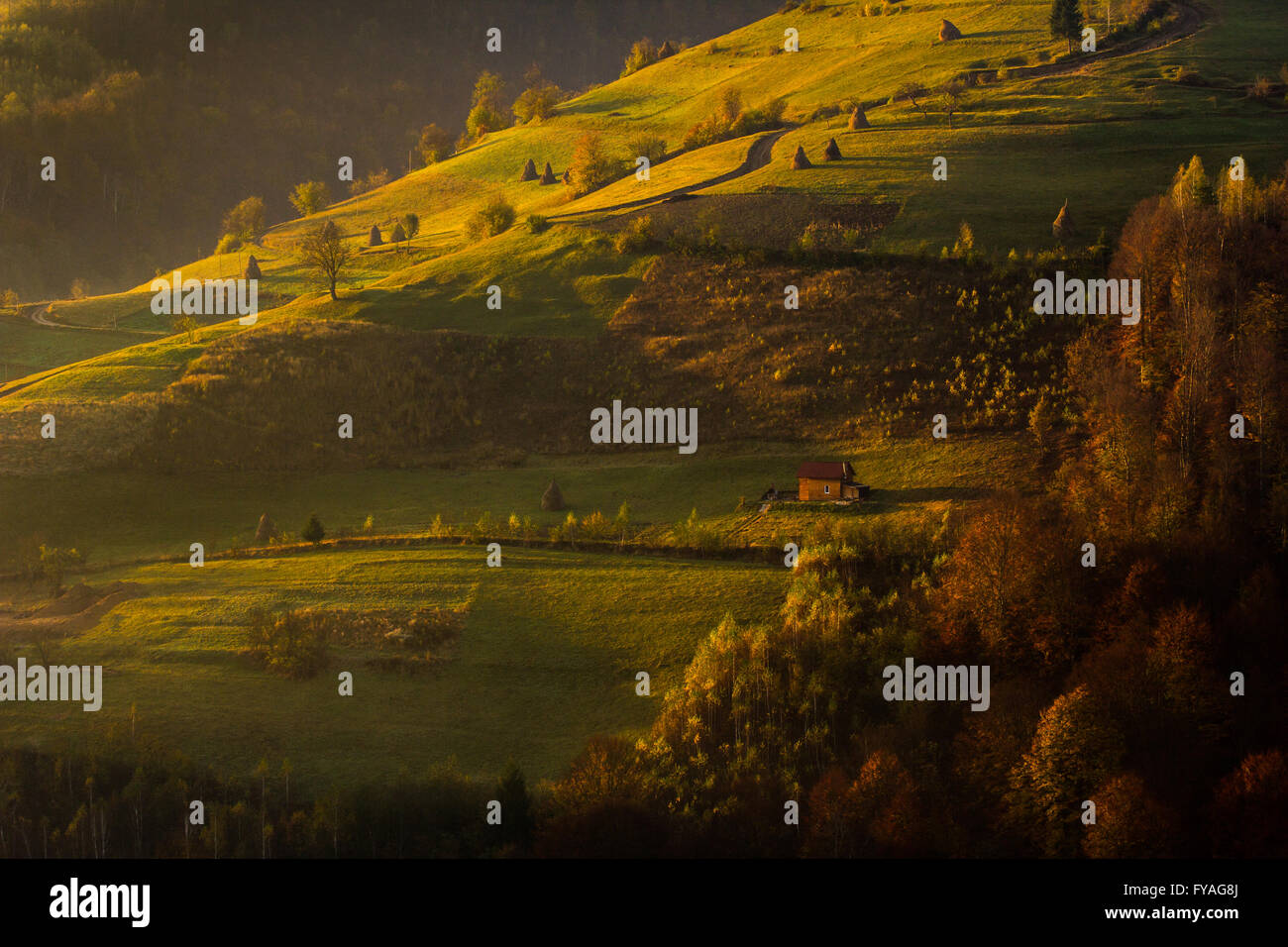 Morning Rural Scene Picture sunrise in rural village hi-res stock photography and images ...