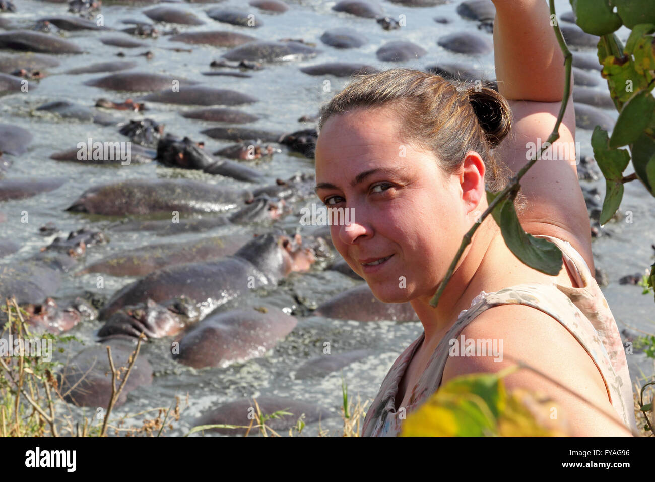 Dark-haired woman looking at camera while hippopotamus swimming in water on background Stock Photo