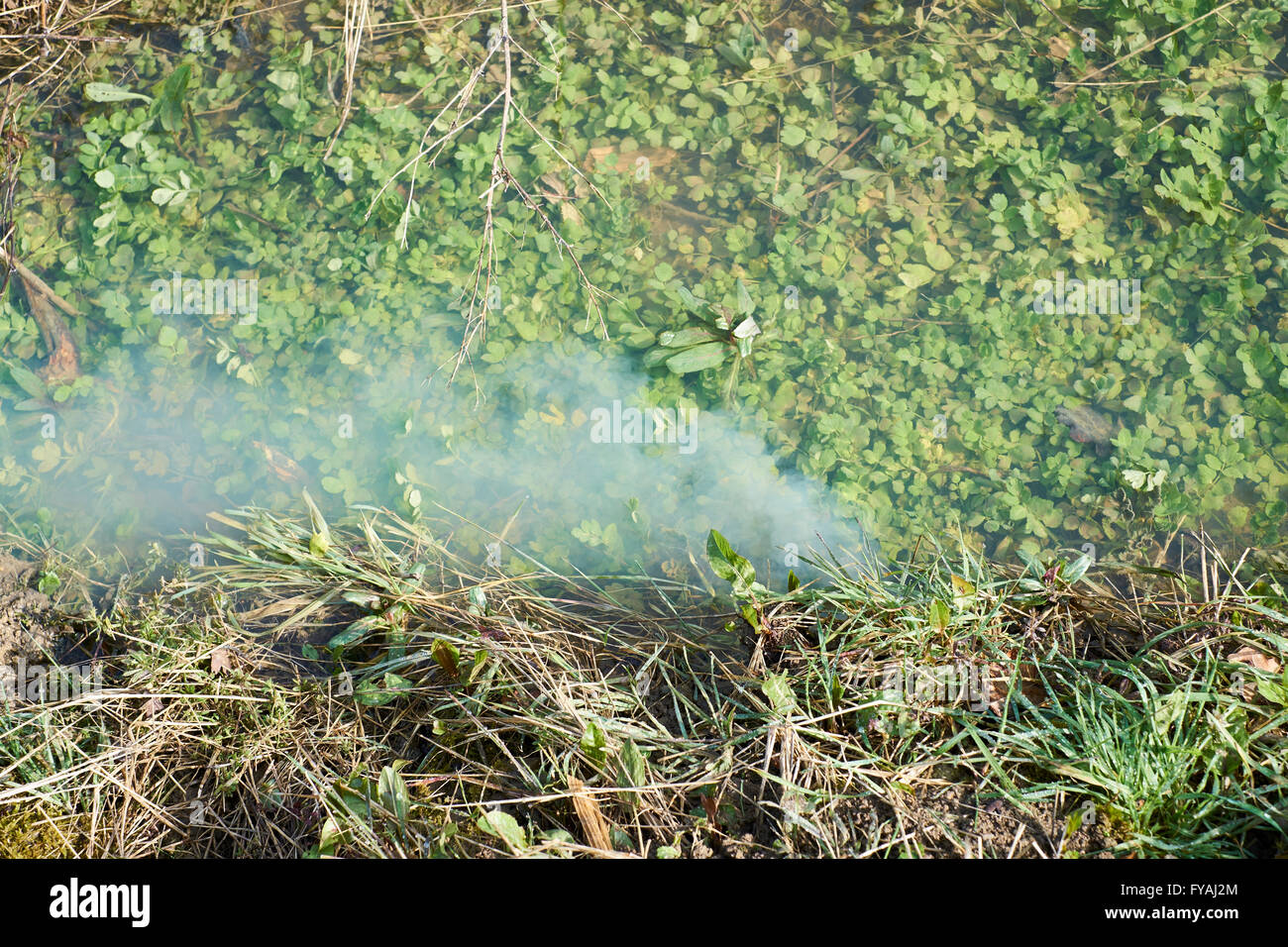 A plume of fine silt agricultural water pollution entering a field drainage network following a period of heavy rain. UK. Stock Photo