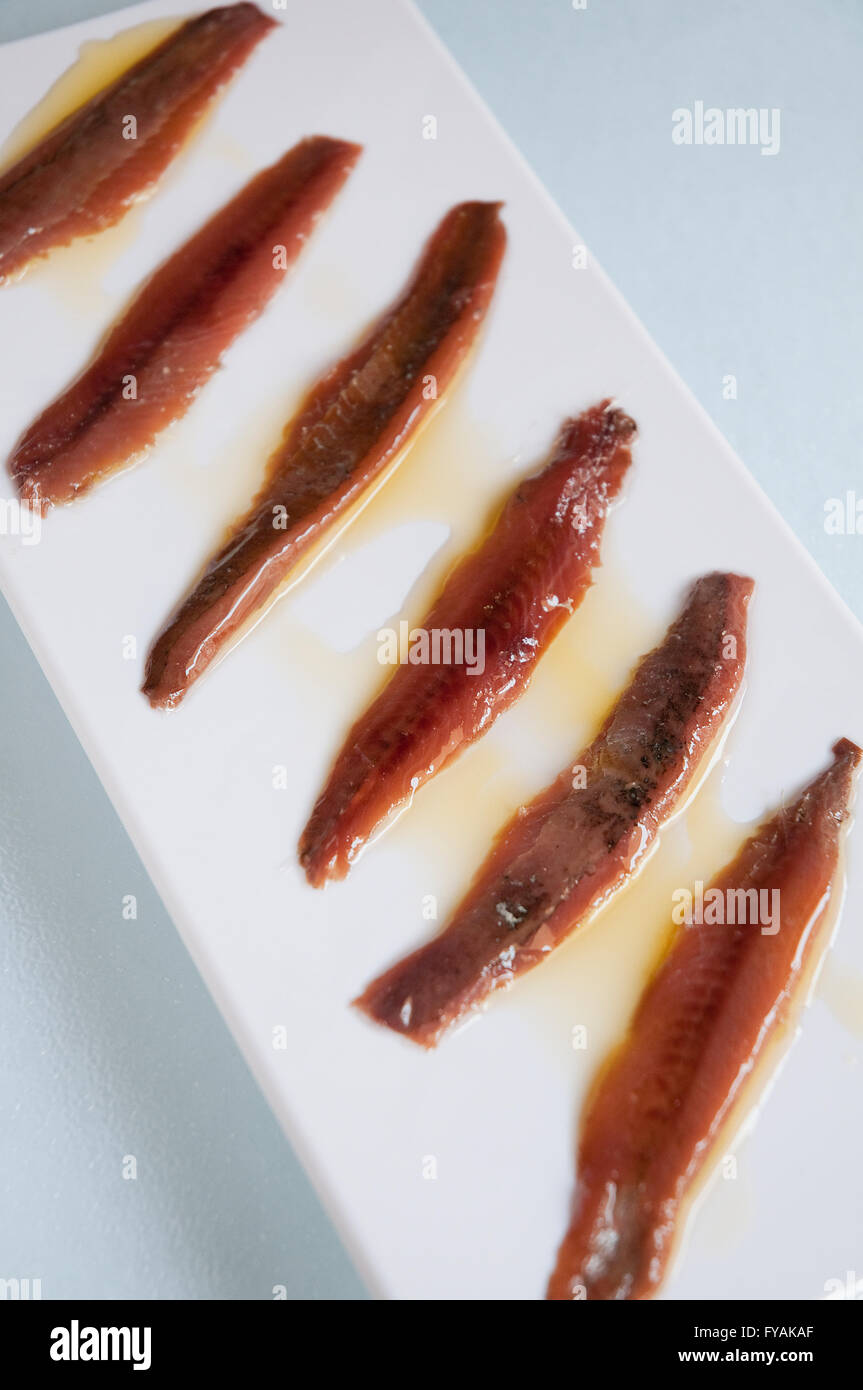 Fillets of anchovy with olive oil. Close view Stock Photo Alamy