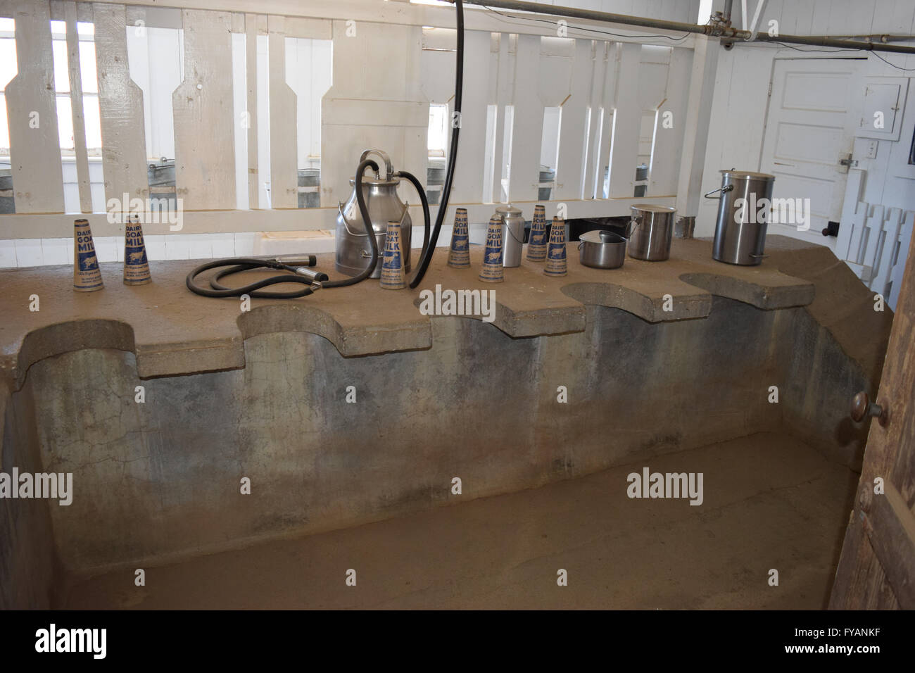 Connemara Farms and Goat Dairy where Lillian Sandburg raised her prize