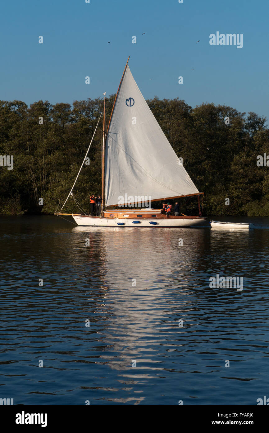 Sailing Boat on Salhouse Broad, part of The Broads National Park