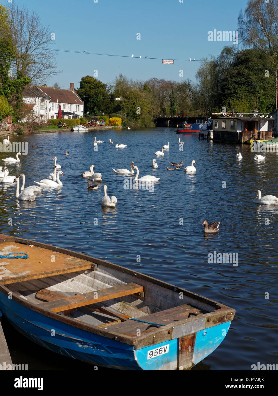 The Norfolk Broads at Thorpe St Andrew, Nr Norwich, Norfolk, England
