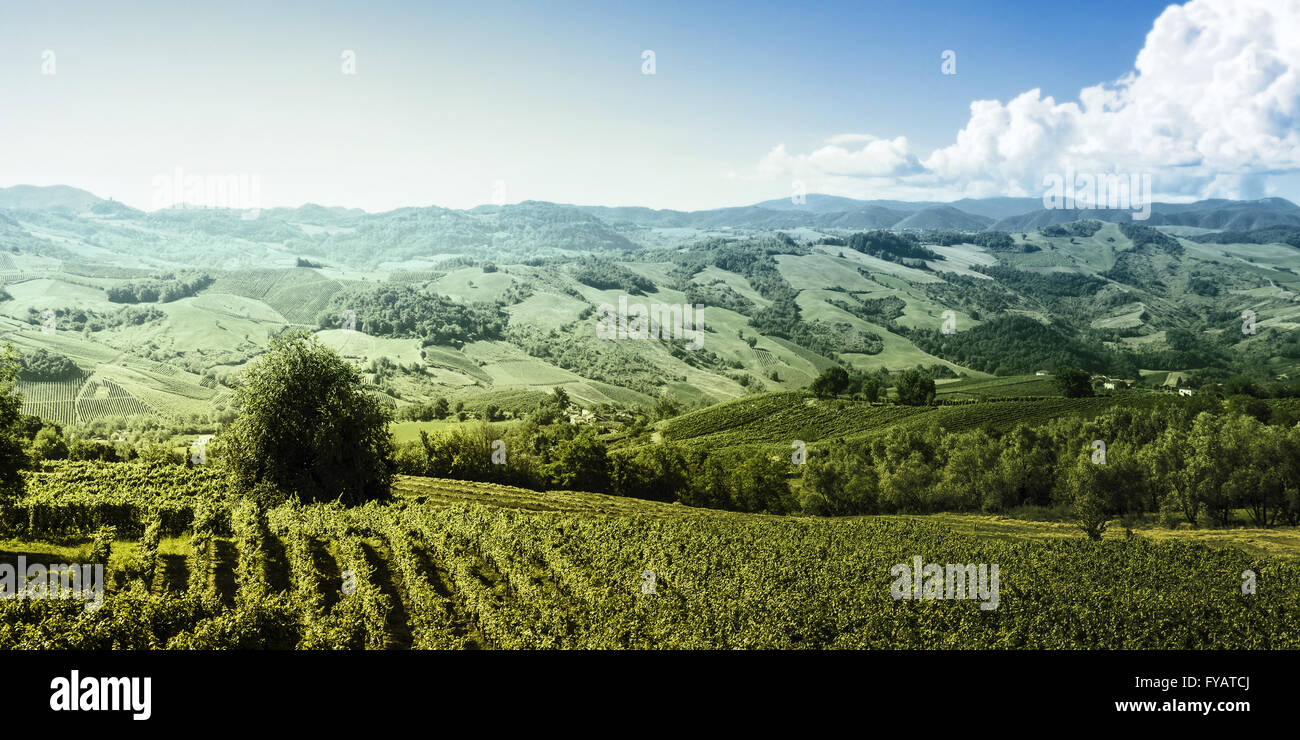 Italy Rural Background Tuscany typical rural landscape, Italian countryside Stock Photo - Alamy