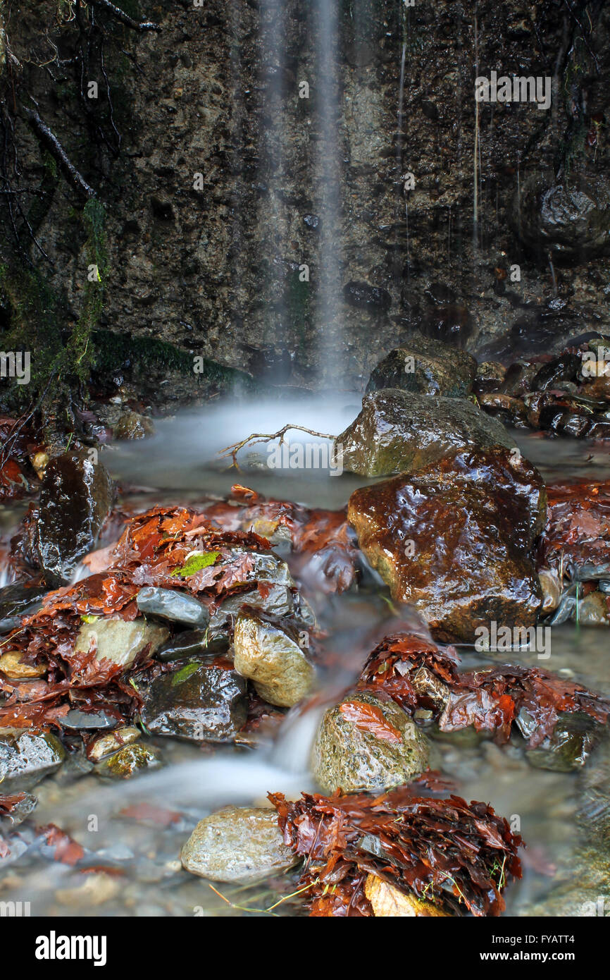 Water flowing over rocks and decaying leaves on the banks of Bala lake ...