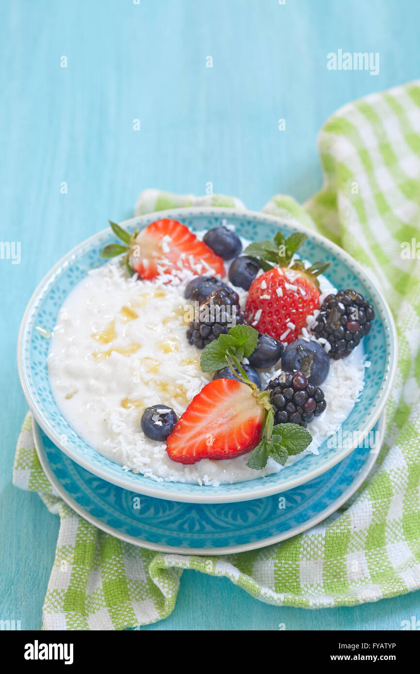 Rice porridge with coconut milk Stock Photo Alamy