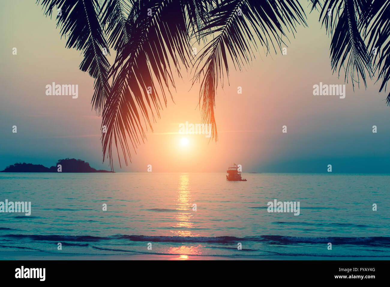 Beautiful sunset at tropical sea coast Stock Photo - Alamy