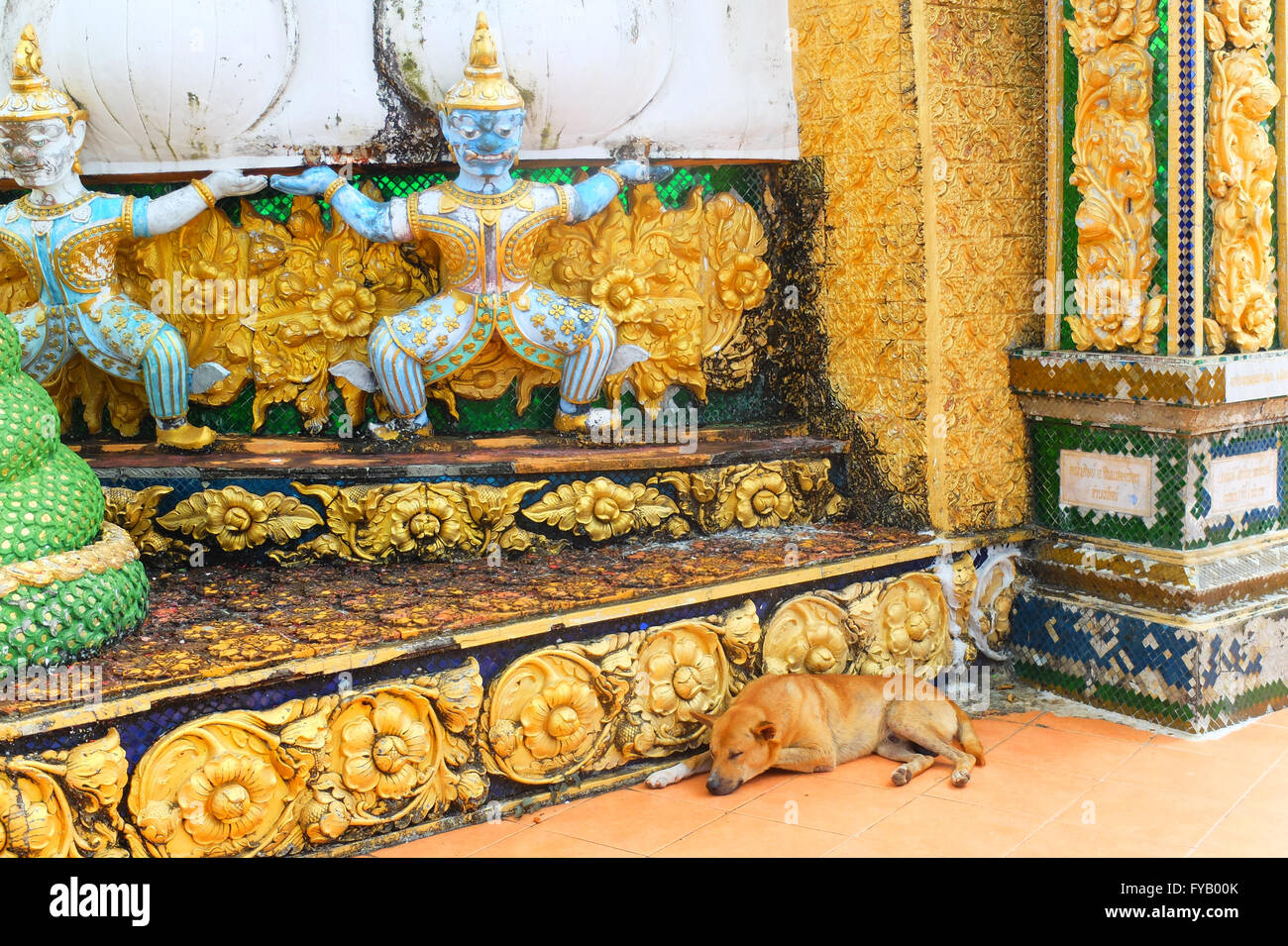 Dog asleep by the Asian style decorated wall at Tiger Cave Temple. Stock Photo