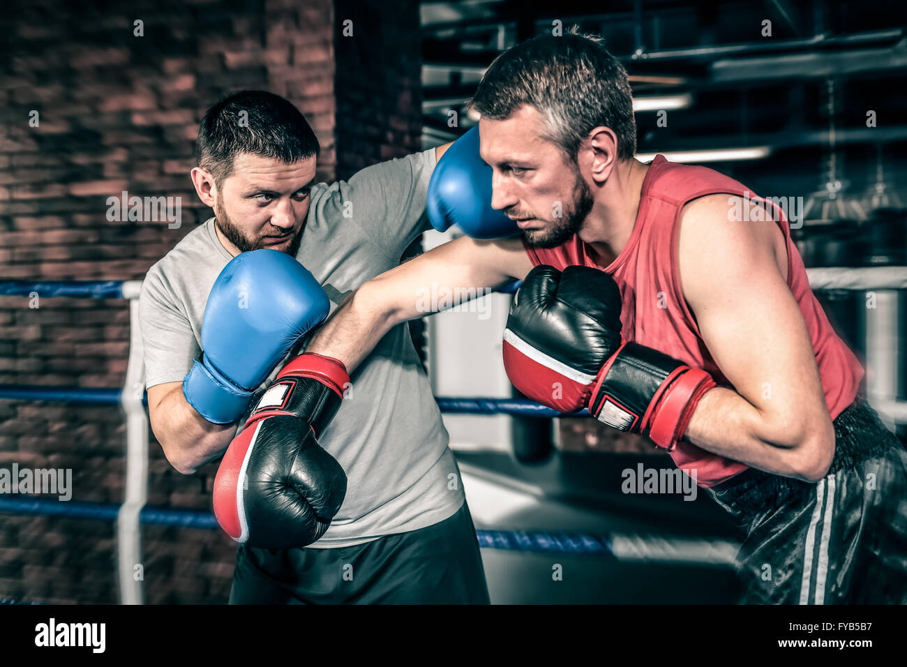 Boxers competition in the ring Stock Photo Alamy