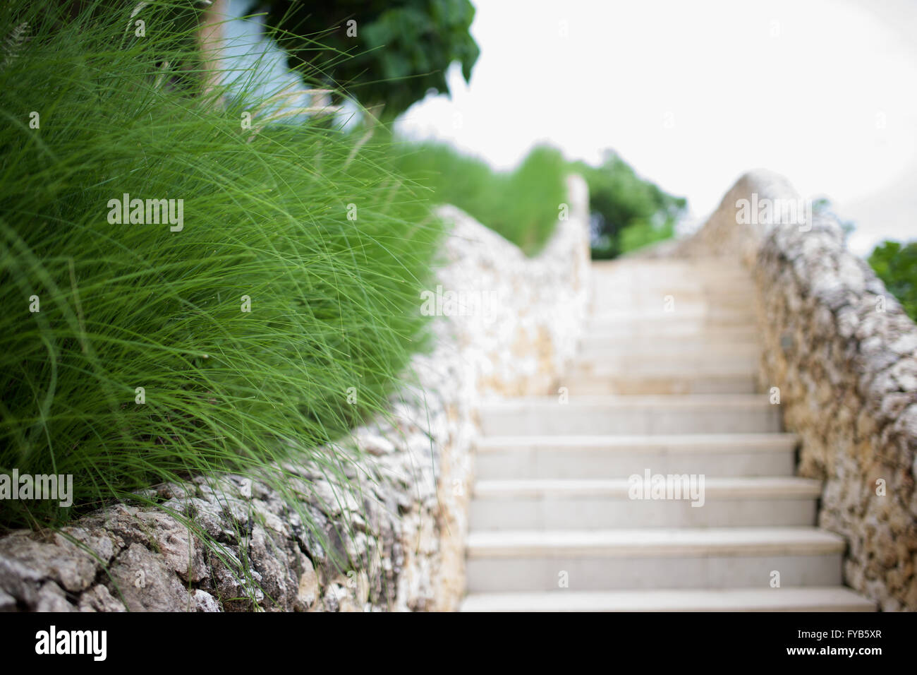 stone steps green grass Bai Finns Beach Stock Photo