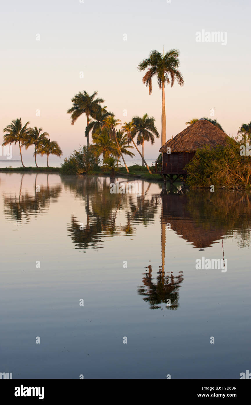 Laguna del Tesoro, Treasure Lagoon, Palm trees and wooden cabins, Zapata Peninsula, Cuba Stock Photo