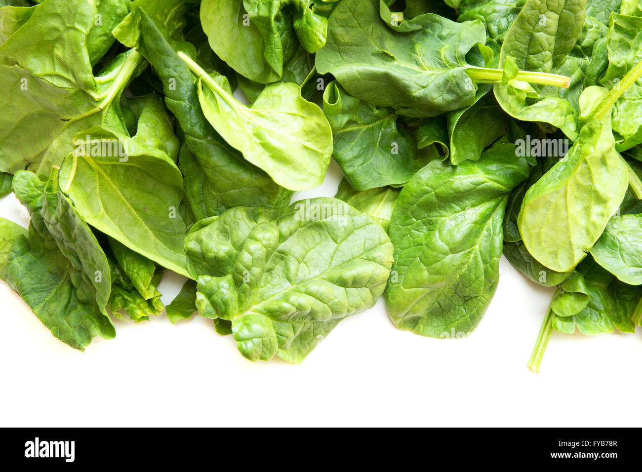 Fresh spinach leaves isolated on white Stock Photo - Alamy