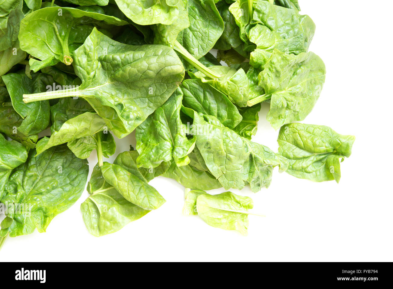 Fresh spinach leaves isolated on white Stock Photo - Alamy