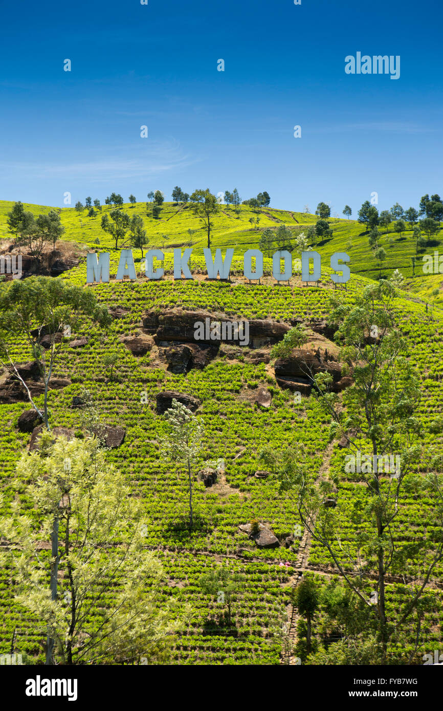 Sri Lanka, Nuwara Eliya, Ramboda, Mackwoods Labookellie Tea Estate sign on hillside Stock Photo