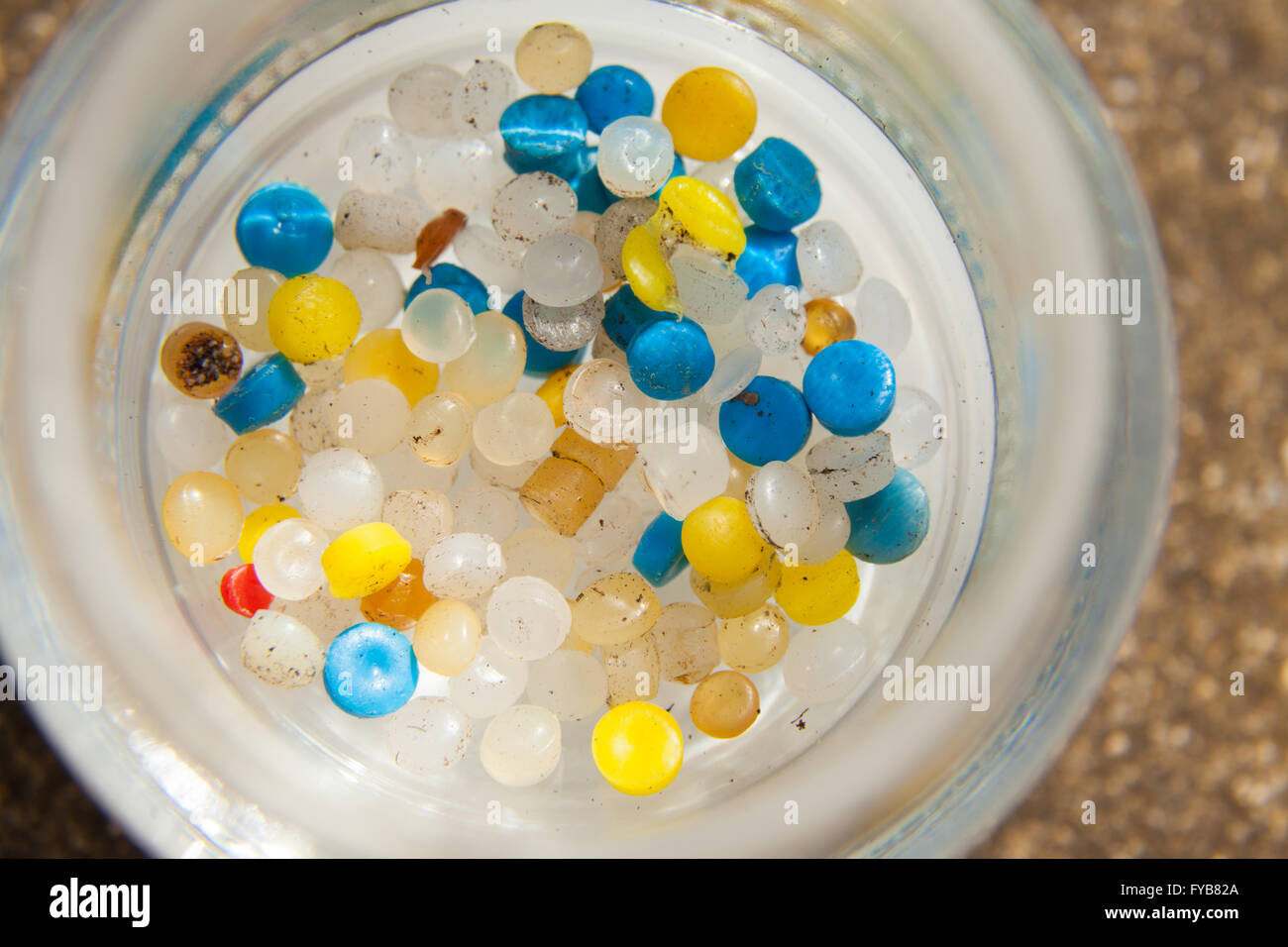 A collection of small plastic nurdles in a jar found on a Scottish beach. Stock Photo