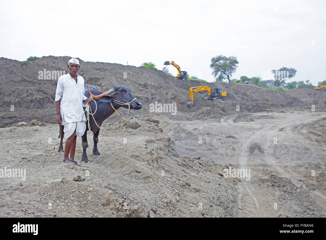 Latur, Maharashtra. 20th Apr, 2016. 20 April 2016 - Latur - INDIA.Farmer Balasahab Kale, 60, from Sai, outside of the town of Latur, with his buffalo.The administration has started widening & deepening the Sai river for water harvesting.Latur is part of the state's predominantly agricultural Marathwada region, where 273 farmers committed suicide between January and March this year.The area is among the worst affected by the drought and some families in Latur have left for cities such as the state capital Mumbai, nearly 500 kilometres away. In Latur town, there are huge queues at water s Stock Photo