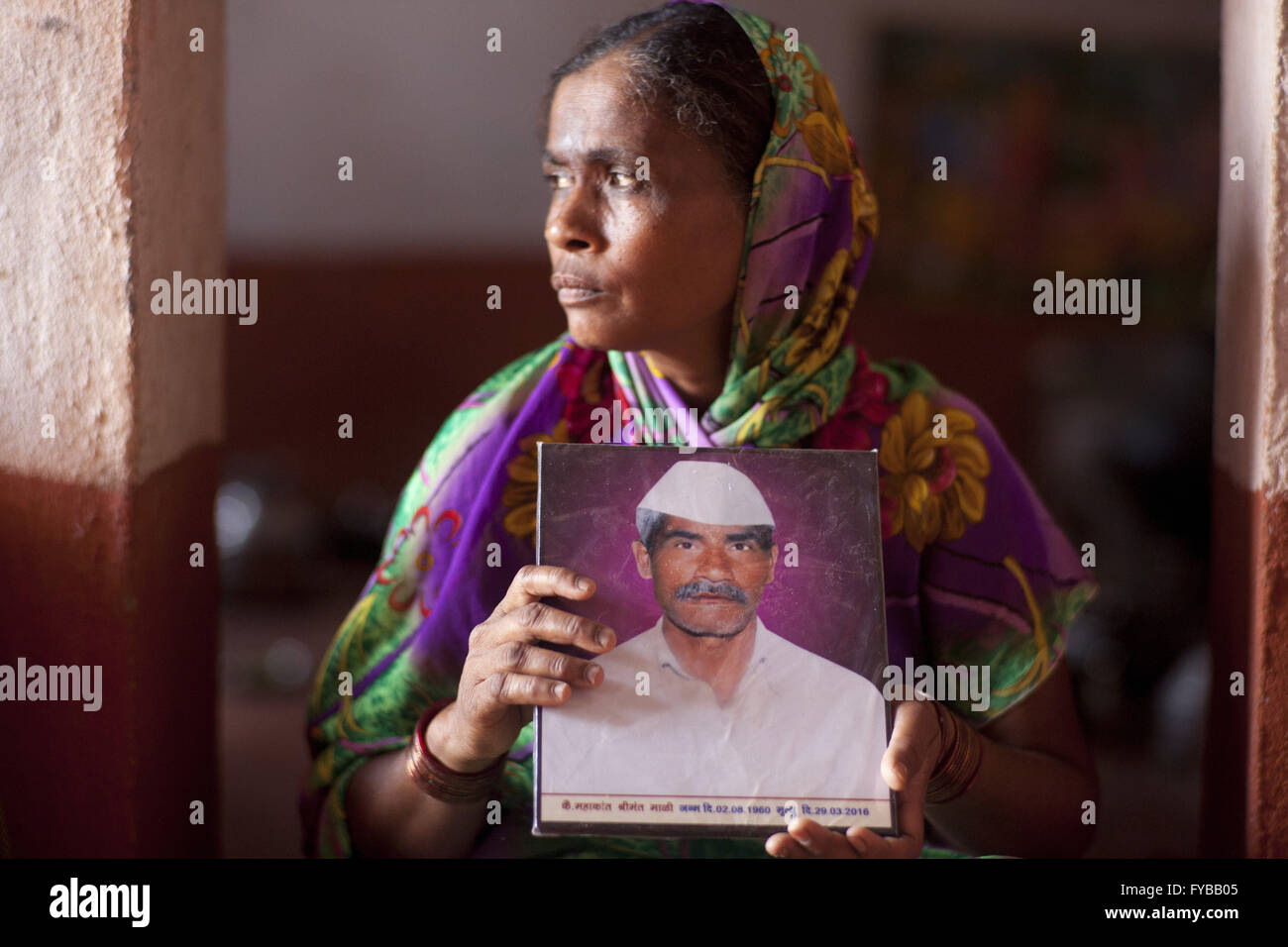 Latur, Maharashtra. 21st Apr, 2016. 21 April 2016 - Gategaon, Latur - INDIA.Kamalbai with a picture of her farmer husband Mahakant Mali, 55, who committed suicide by hanging himself from a dried Mango tree.Latur is part of the state's predominantly agricultural Marathwada region, where 273 farmers committed suicide between January and March this year.The area is among the worst affected by the drought and some families in Latur have left for cities such as the state capital Mumbai, nearly 500 kilometres away. In Latur town, there are huge queues at water storage tanks that are fed from Stock Photo