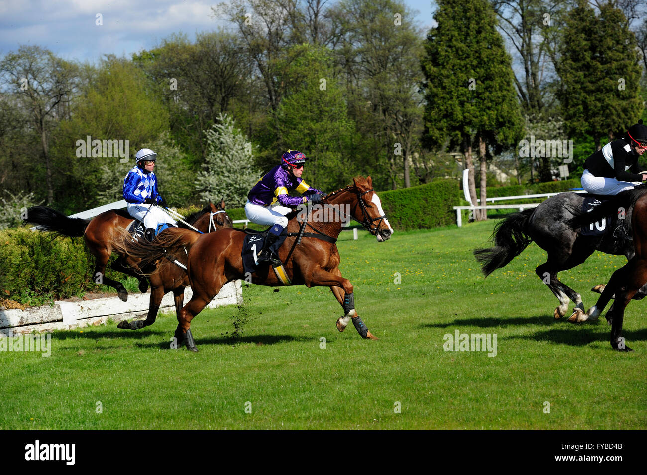 Racing, horse, Partynice Wroclaw, Poland, Open Season 2016, 24 april 2016, wroclaw, dolnoslaskie, partynice, poland, europe,Poland. 24th April, 2016. Racing, horse, Partynice Wroclaw, Poland, Open Season 2016, wroclaw, dolnoslaskie, partynice, poland, europe, 24 april 2016, © Kazimierz Jurewicz/Alamy Live News Stock Photo