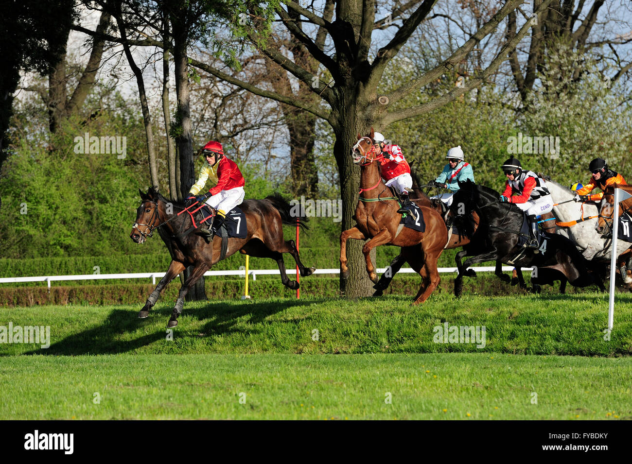 Poland. 24th April, 2016. Racing, horse, Partynice Wroclaw, Poland, Open Season 2016, wroclaw, dolnoslaskie, partynice, poland, europe, 24 april 2016, © Kazimierz Jurewicz/Alamy Live News, A'latune best, With two horses coach Emil Zahariev better turned out to be bred in Bulgaria A'latune, which under Alexander Kabardovem won the duel debutants. Shortly after her finish Fangoria (D. Andres) and Goddess (K. Maryniak). Racing, horse, Partynice Wroclaw, Poland, Open Season 2016, 24 april 2016, wroclaw, dolnoslaskie, partynice, poland, europe, Stock Photo