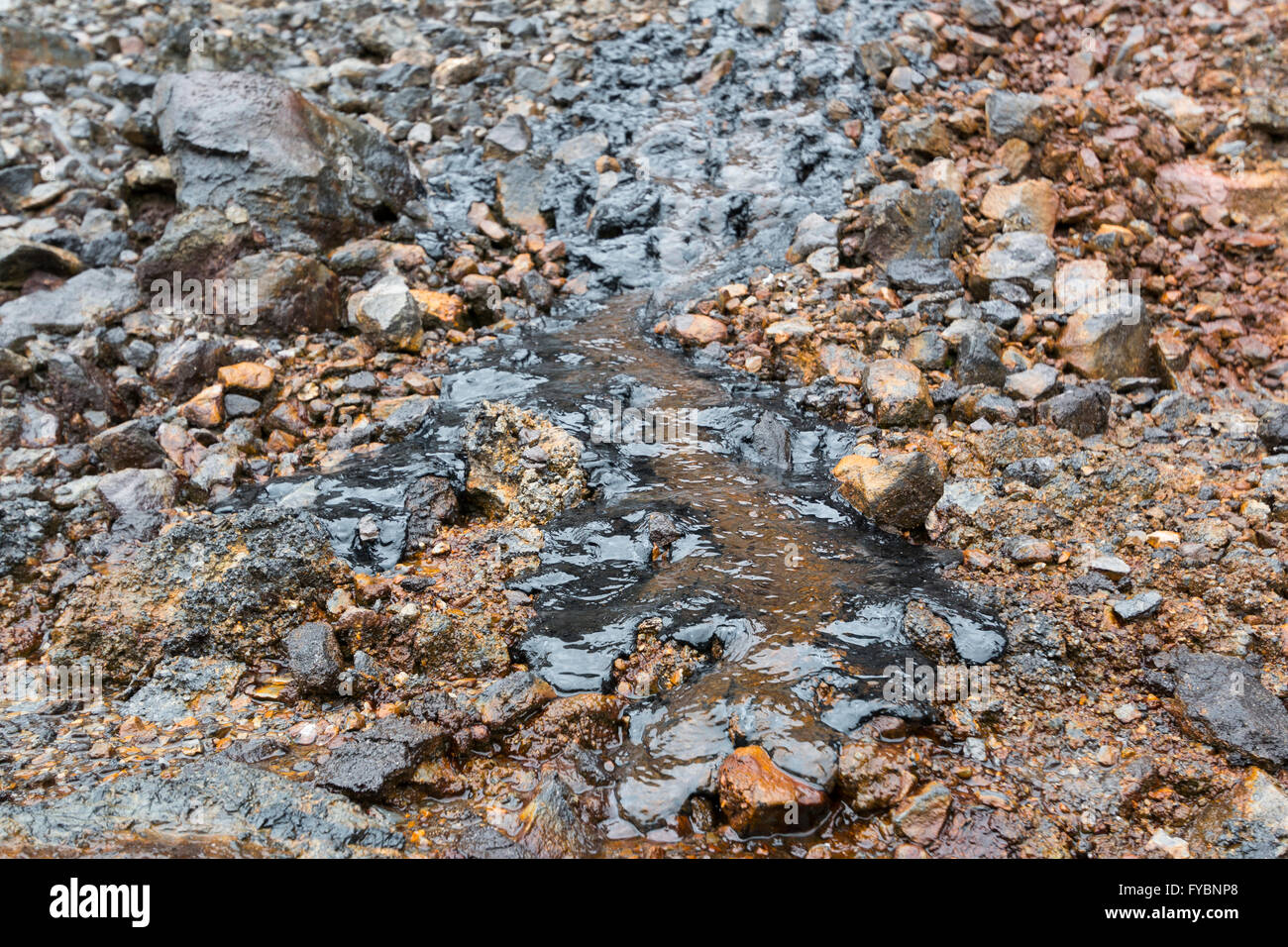 Bitumen seeping out of oil bearing rocks in an old quarry in Napo Province, Ecuador. Stock Photo