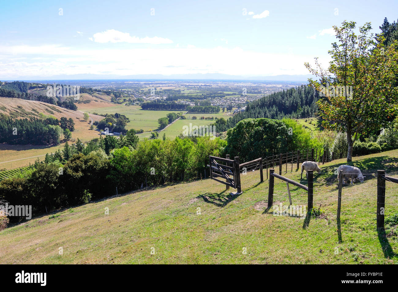 Canterbury Plains from Cashmere Hills, Christchurch, Canterbury Region, South Island, New Zealand Stock Photo