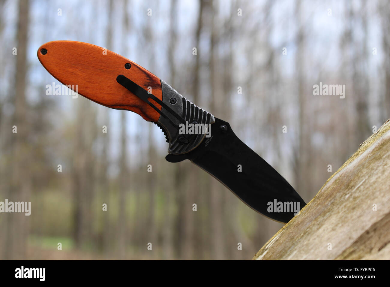 Hunting & Fishing knife Stock Photo Alamy