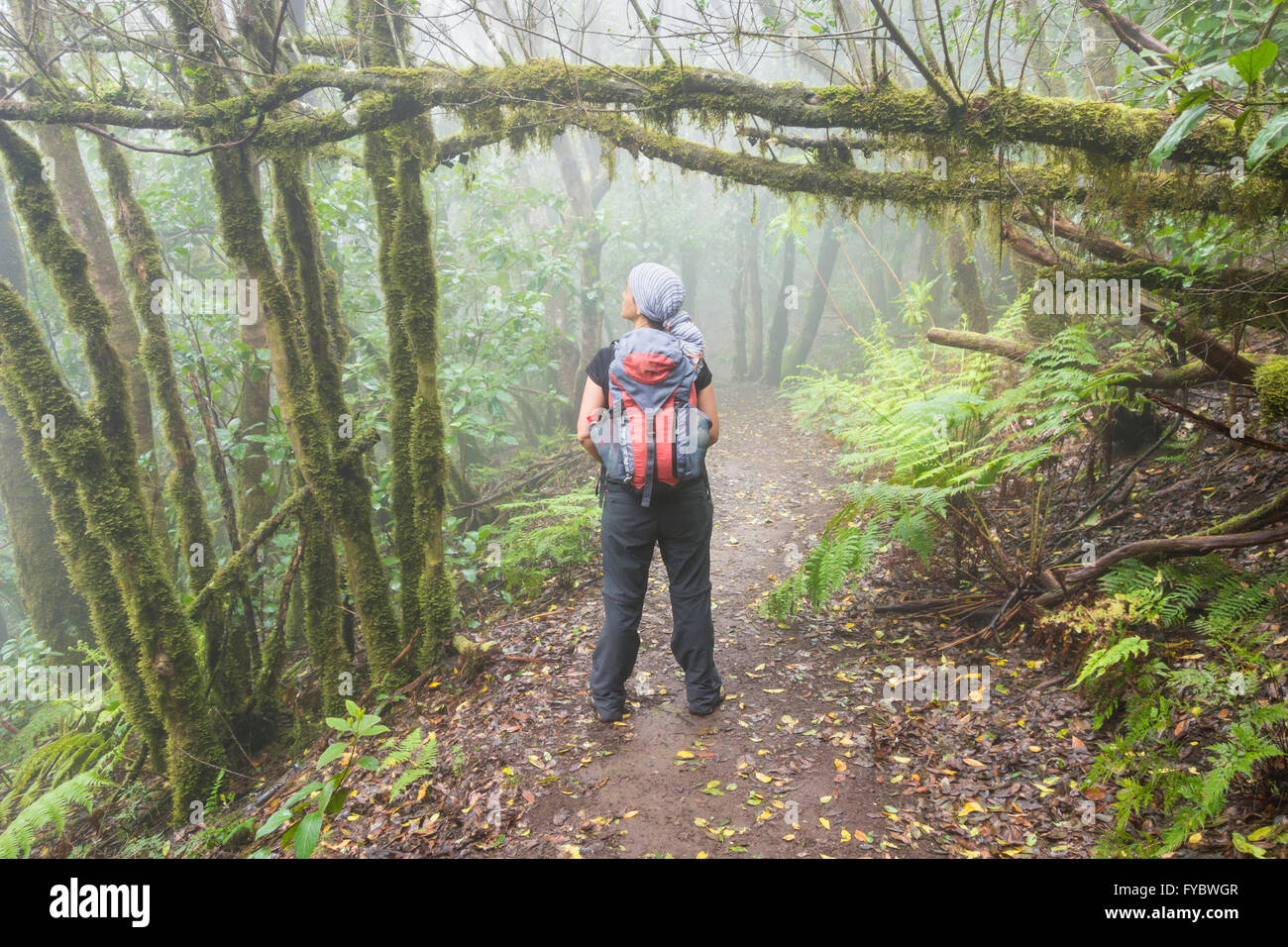 Female hiker in forest hi-res stock photography and images - Alamy