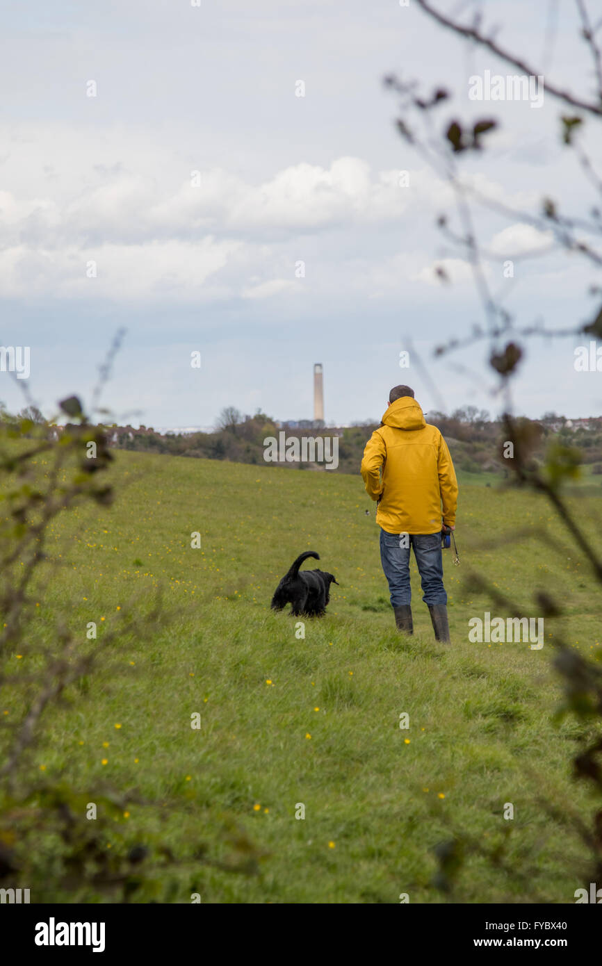 Man and dog walk in field on a cloudy day, back to camera, framed by branches. Industrial chimney in the background Stock Photo