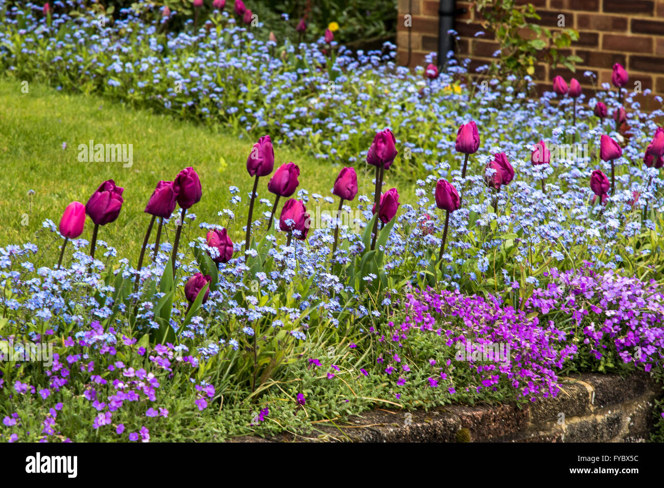 Spring flower beds in a front garden Stock Photo
