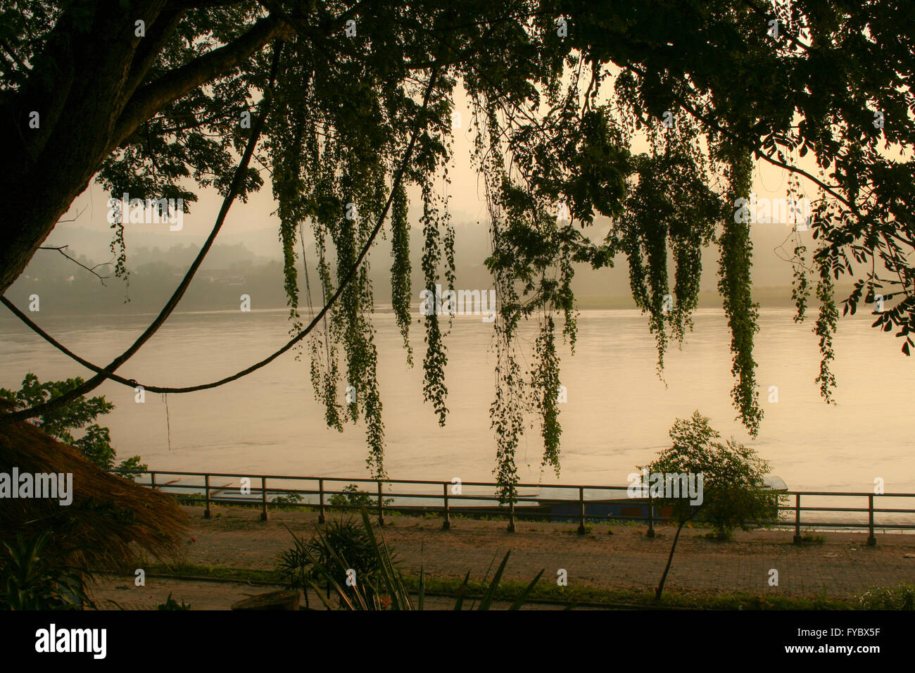 Mekong River at dawn through silhouetted tree branches Stock Photo