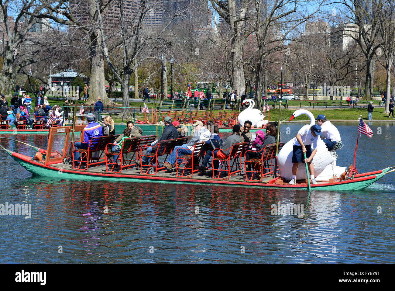 Swan Boats in Boston's Public Garden. Stock Photo