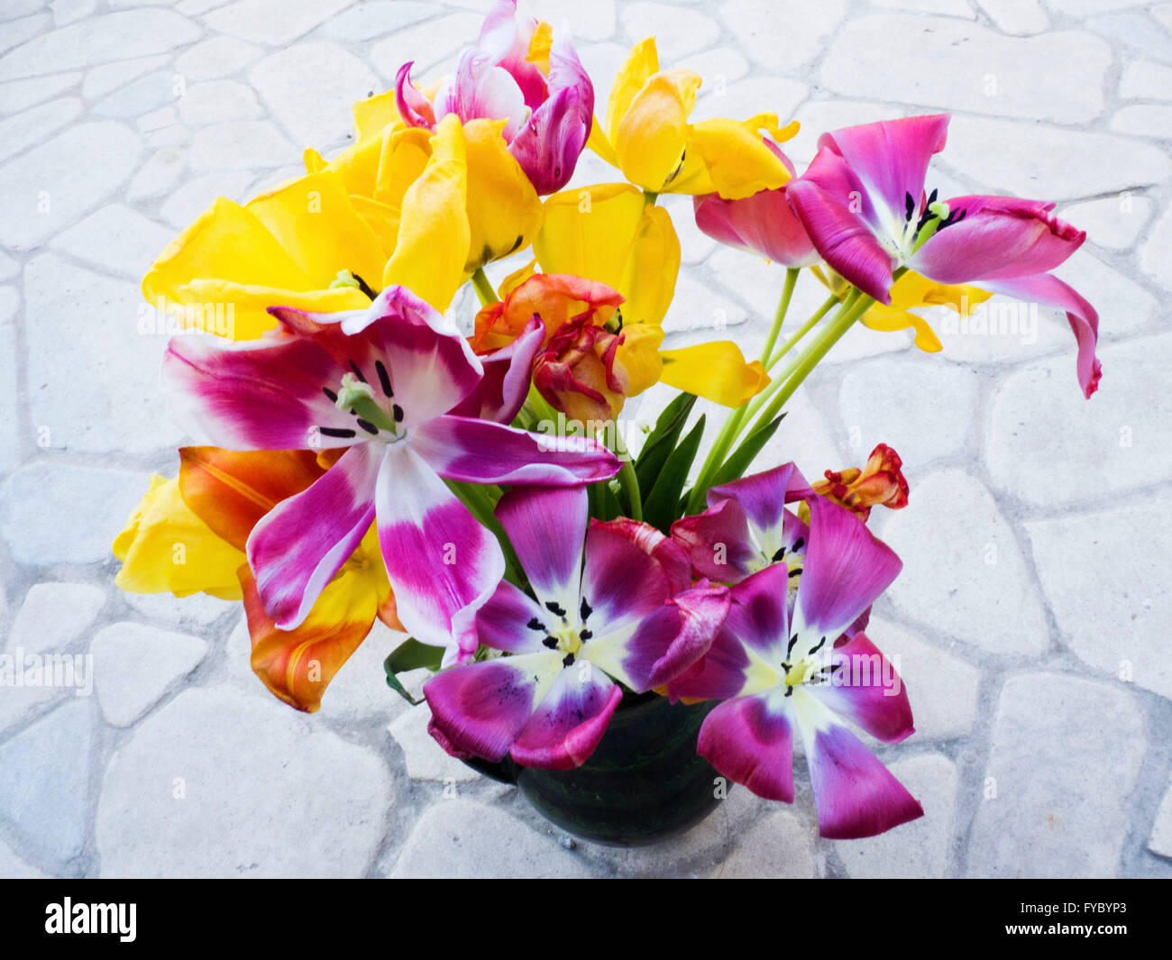 Get well card with pink tulips hi-res stock photography and images - Alamy