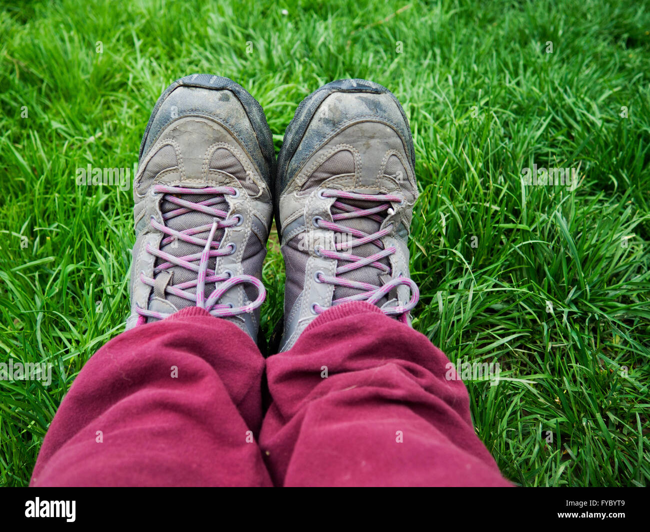 purple shoes in fresh green grass Stock Photo - Alamy