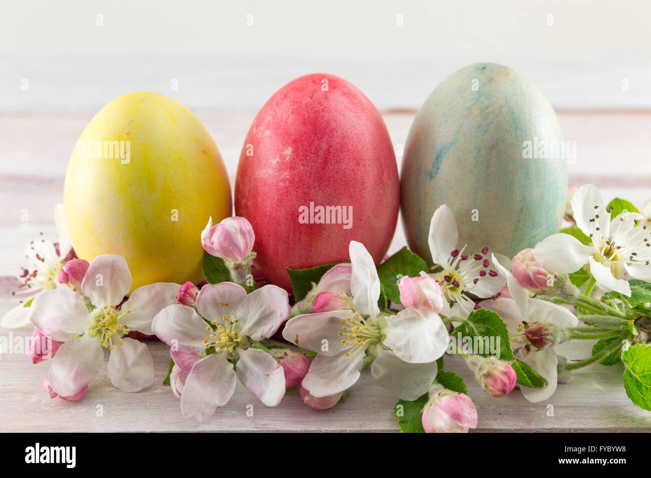 Painted Easter eggs and spring flowers Stock Photo - Alamy