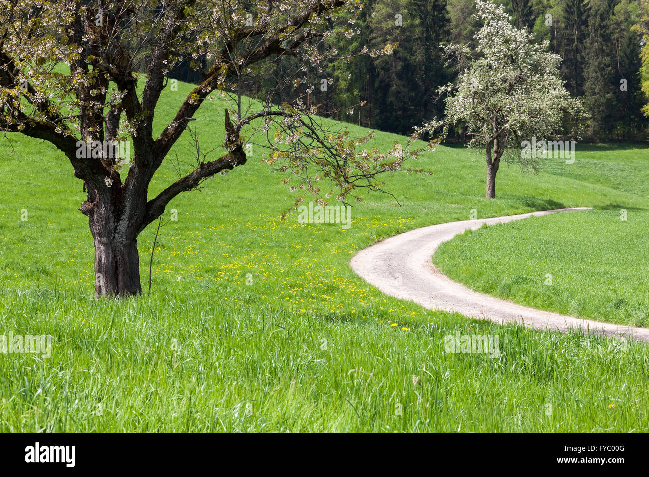 Tranquil hill landscape hi-res stock photography and images - Alamy